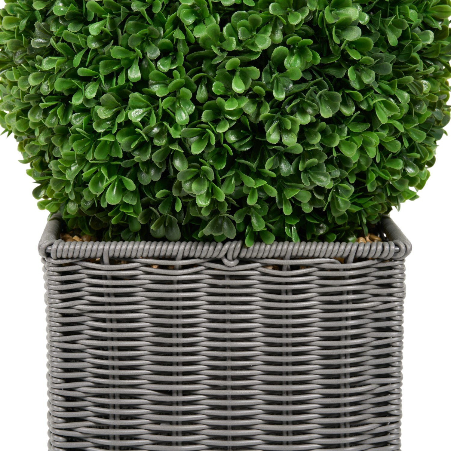 Boxwood Ball in Square Rattan Pot Grey Image 5