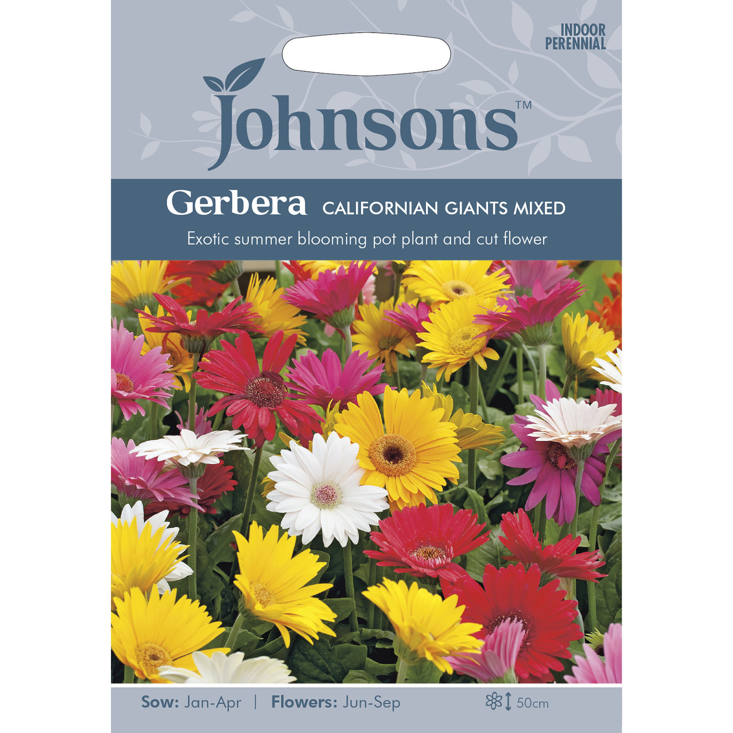 Johnsons Gerbera Californian Giants Mixed Flower Seeds Image 2