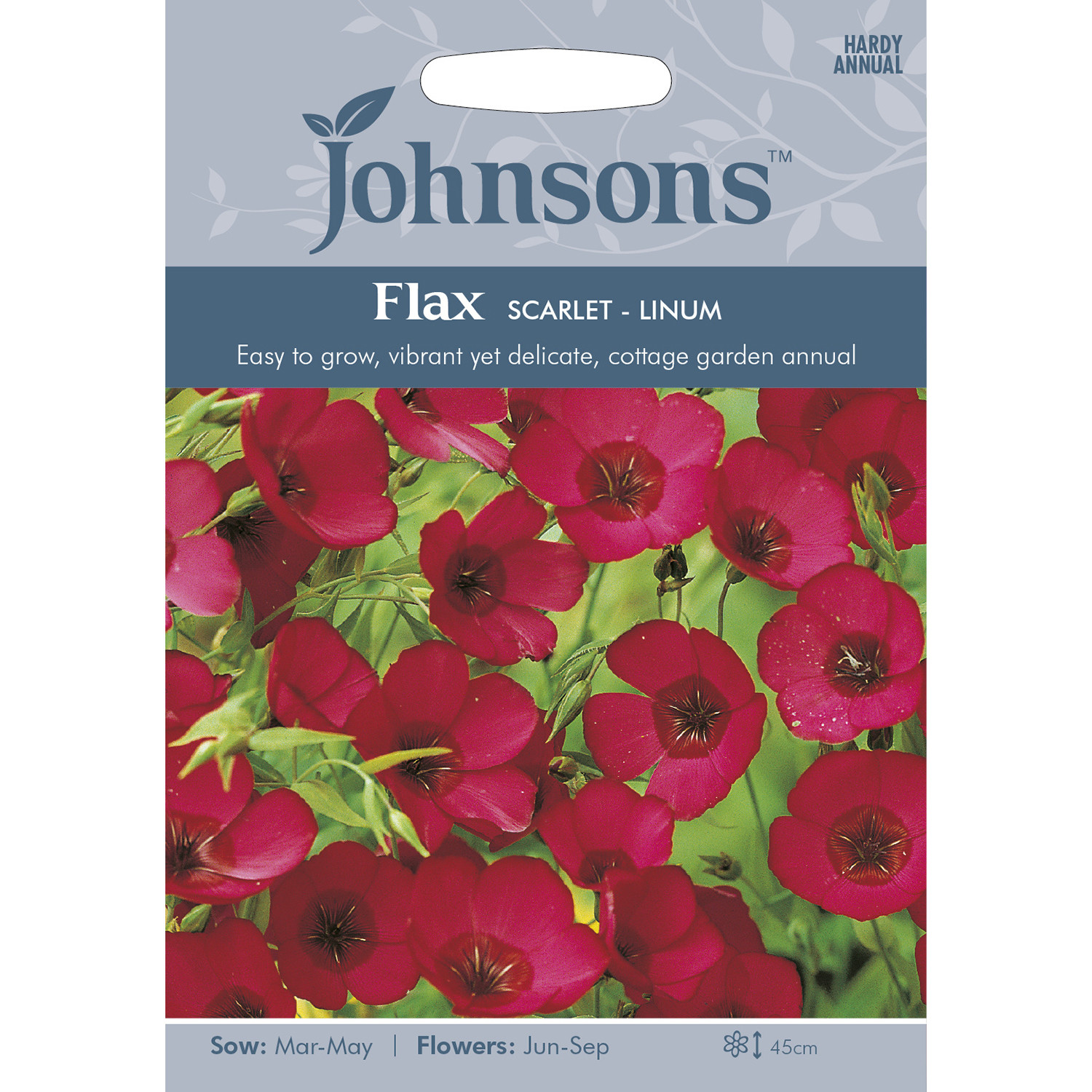 Johnsons Flax Linum Scarlet Flower Seeds Image 2