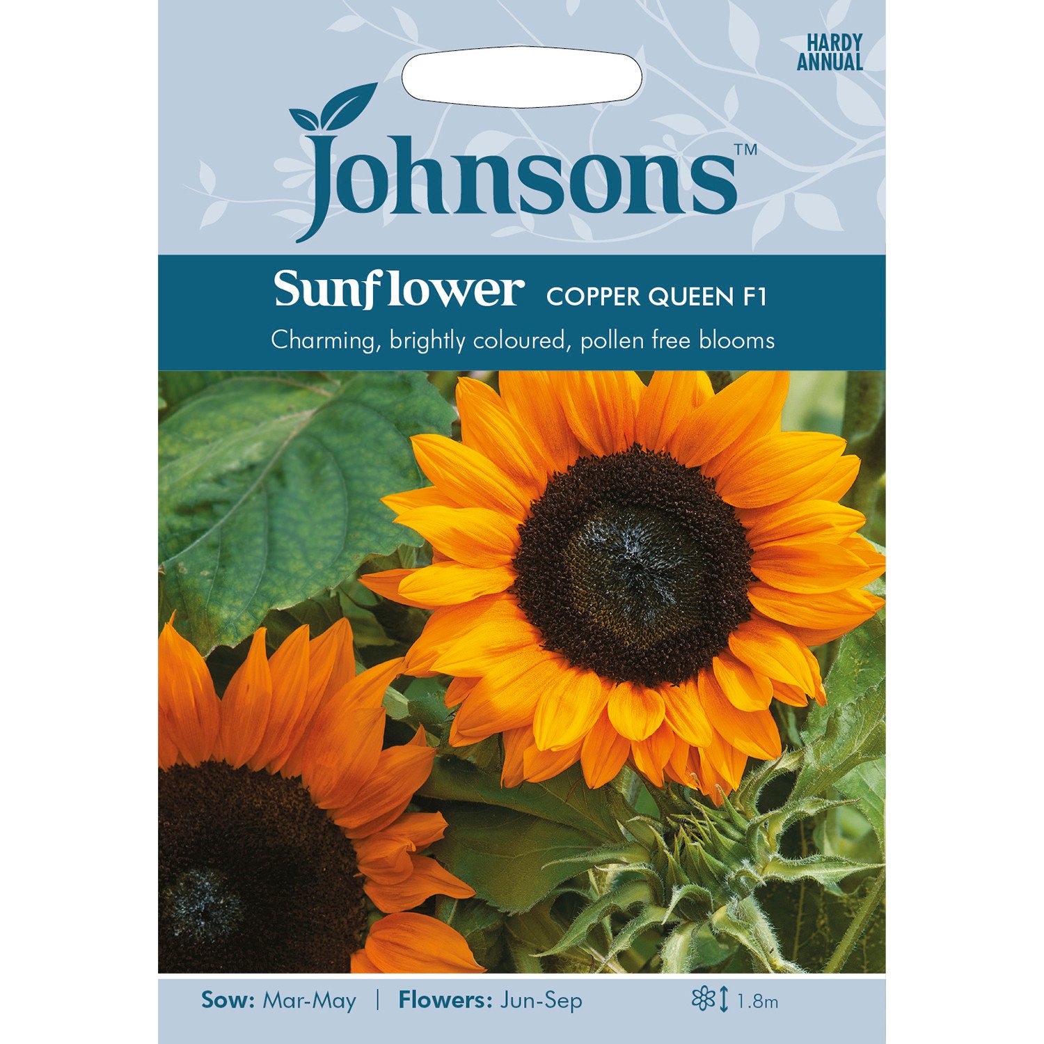Johnsons Pack of Copper Queen F1 Sunflower Seeds Image 1