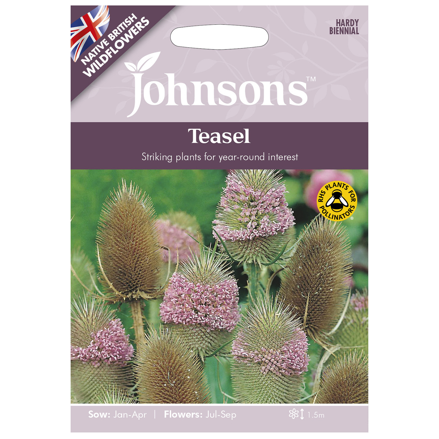 Johnsons Teasel Image 1