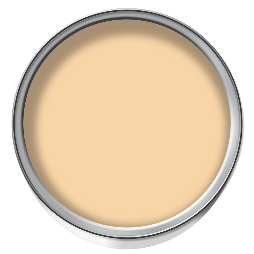 Crown Matt Emulsion Paint Tester Pot Pale Gold 40ml Wilko