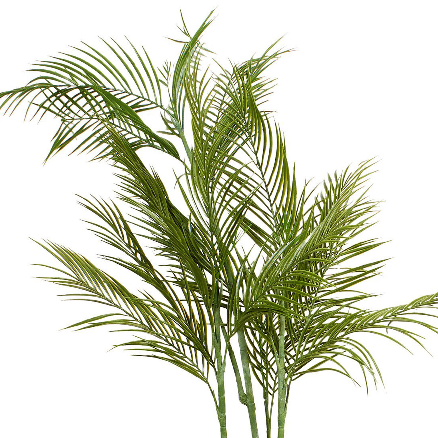 Palm in Cement Pot 100cm - Green Image 5