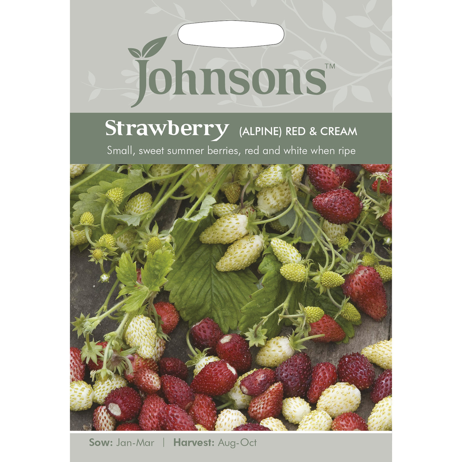 Johnsons Red & Cream Alpine Strawberry Seeds Image 2