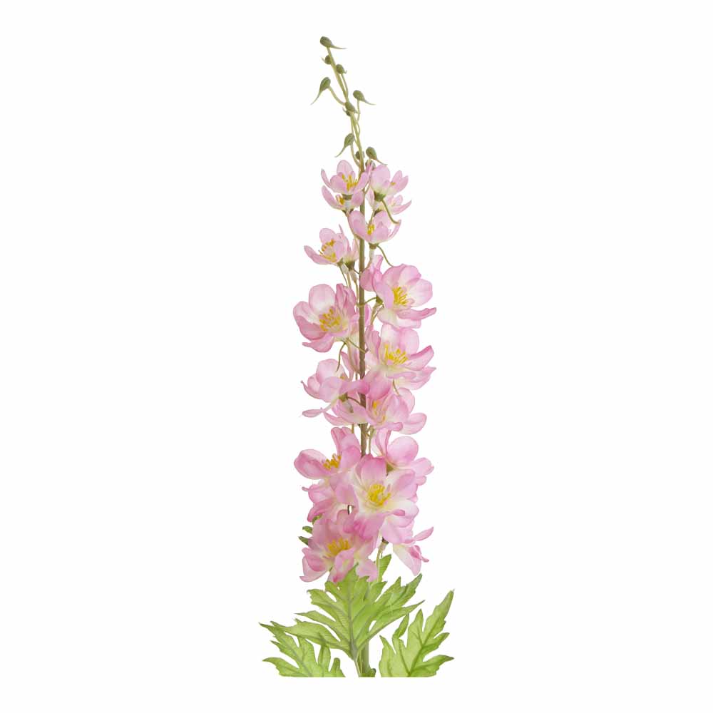 Wilko Delphinium Pink Single Stem Wilko