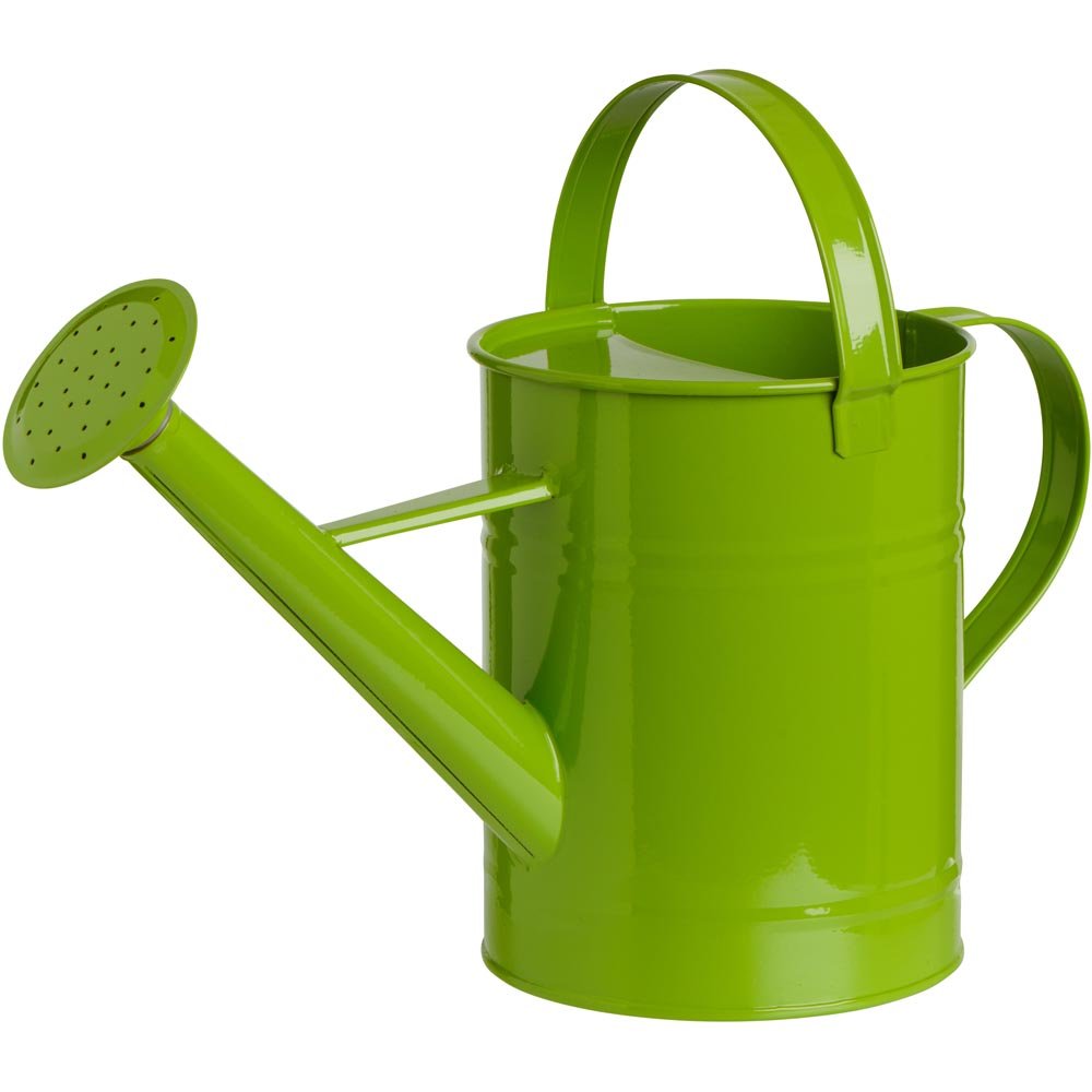 Single Metal Watering Can 1.7L in Assorted styles Image 2