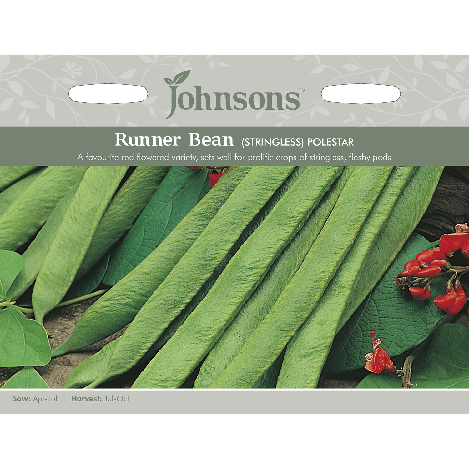 Johnsons Polestar Stringless Runner Bean Seeds Image 2