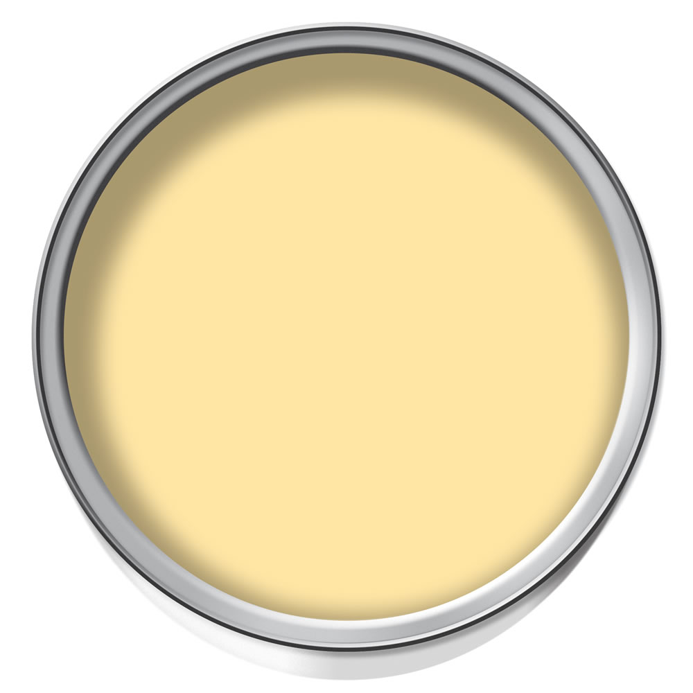 Wilko Lemon Sorbet Emulsion Paint Tester Pot 75ml Image 2