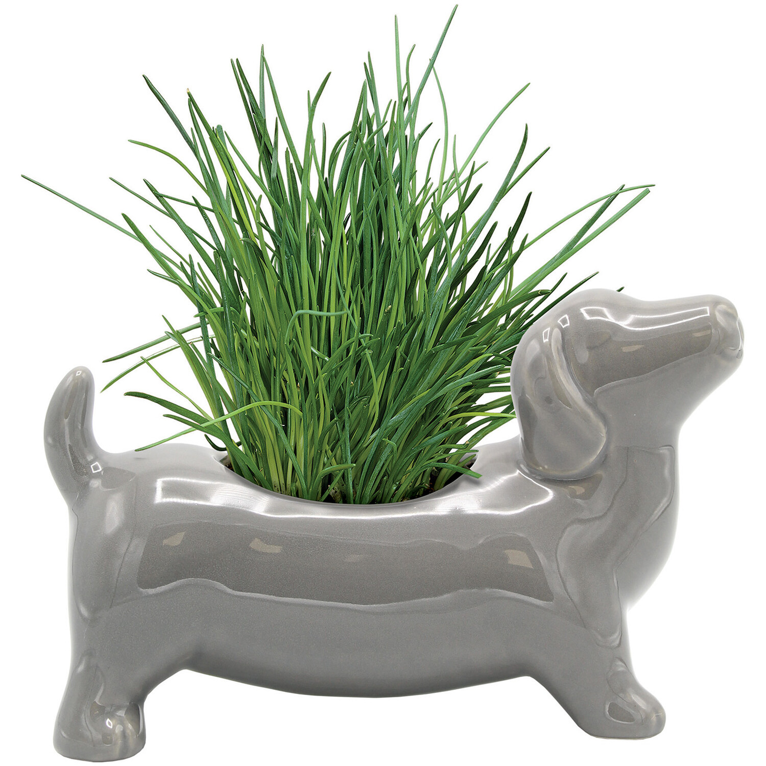 Sausage Dog Herb Planters - Multicolour Image 4