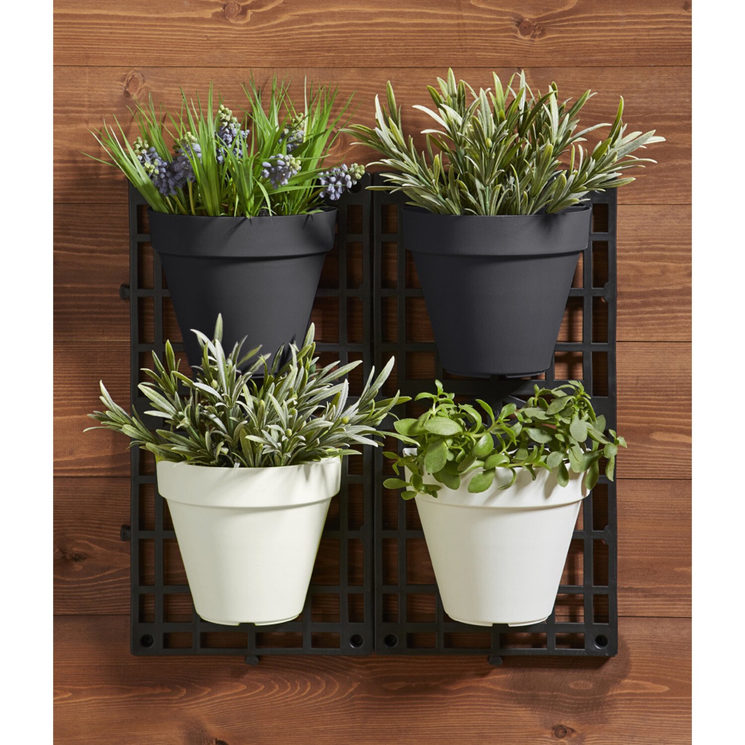 Vertical Garden Set Image 3