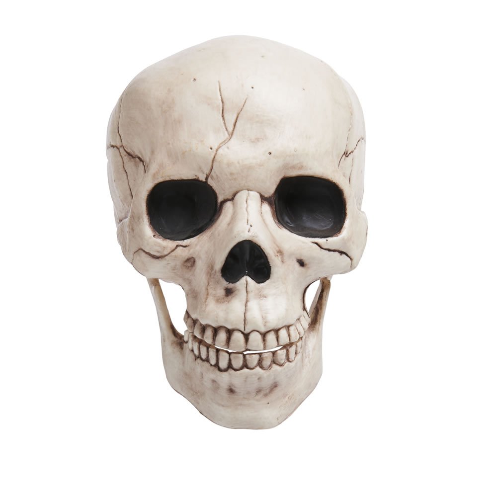 Wilko Skull Ornament Image 2