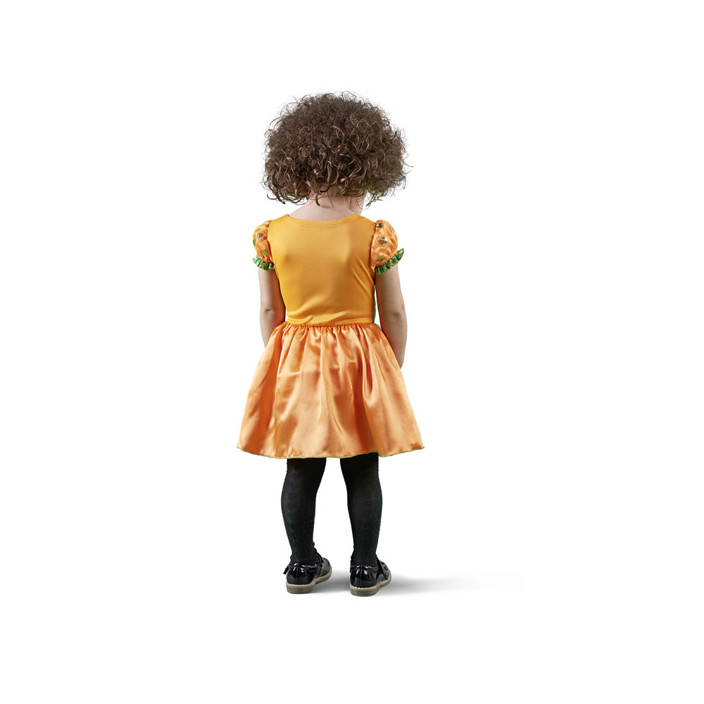 Wilko Toddler Pumpkin Dress Age 2-3yrs Image 2