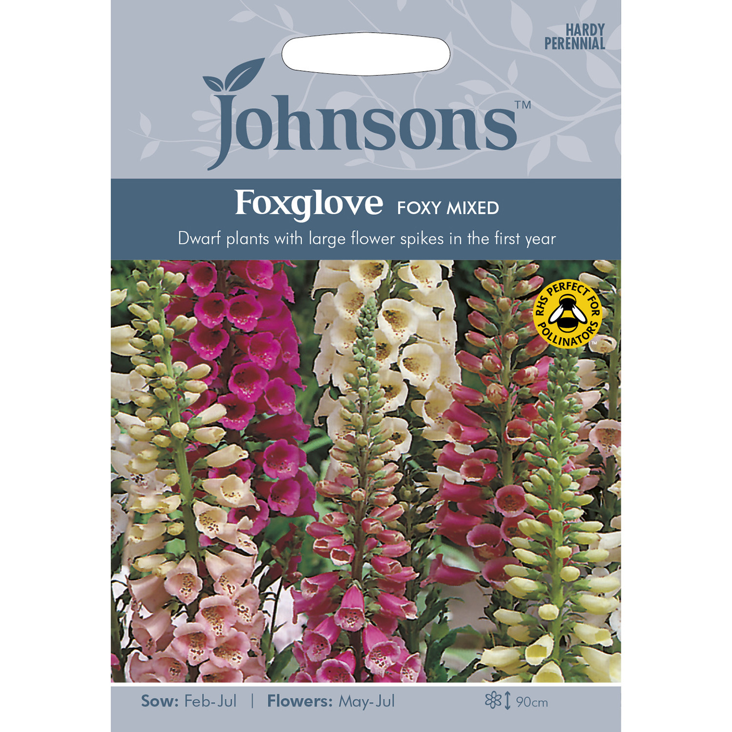 Johnsons Foxglove Foxy Mixed Flower Seeds Image 2