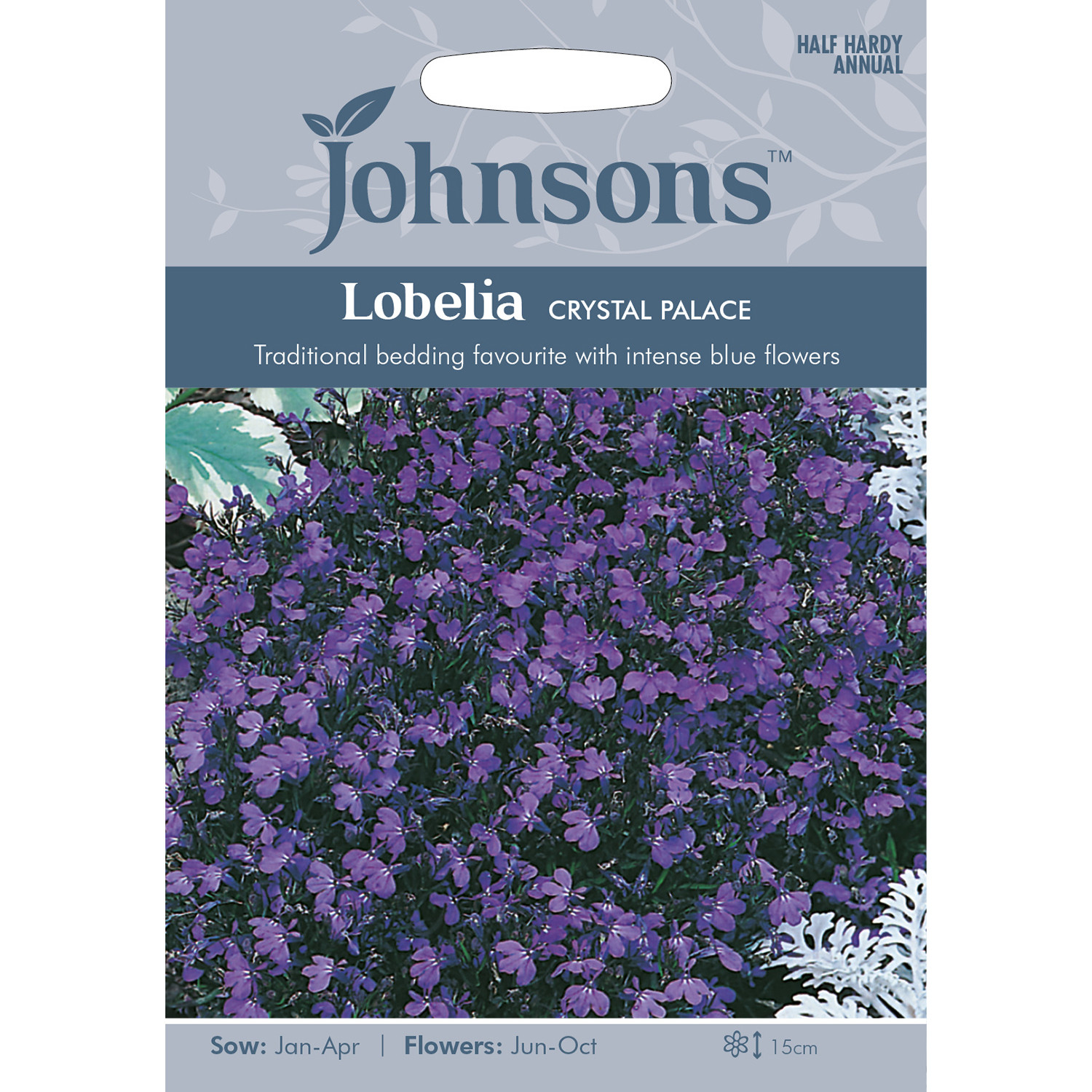 Johnsons Lobelia Crystal Palace Flower Seeds Image 2