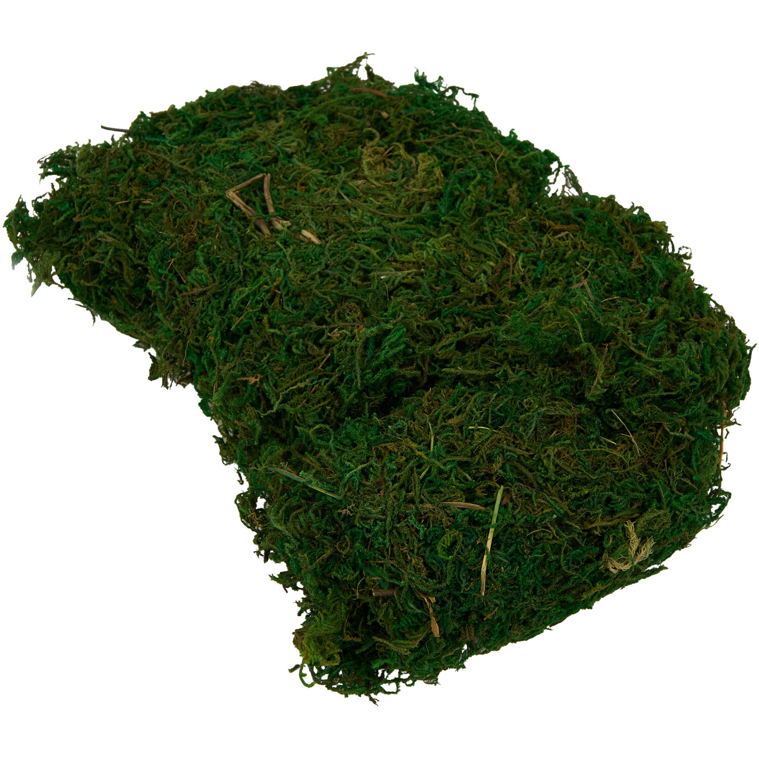 Easter Moss - Green Image 2