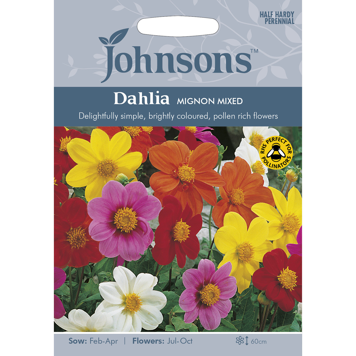 Johnsons Dahlia Mignon Mixed Flower Seeds Image 2