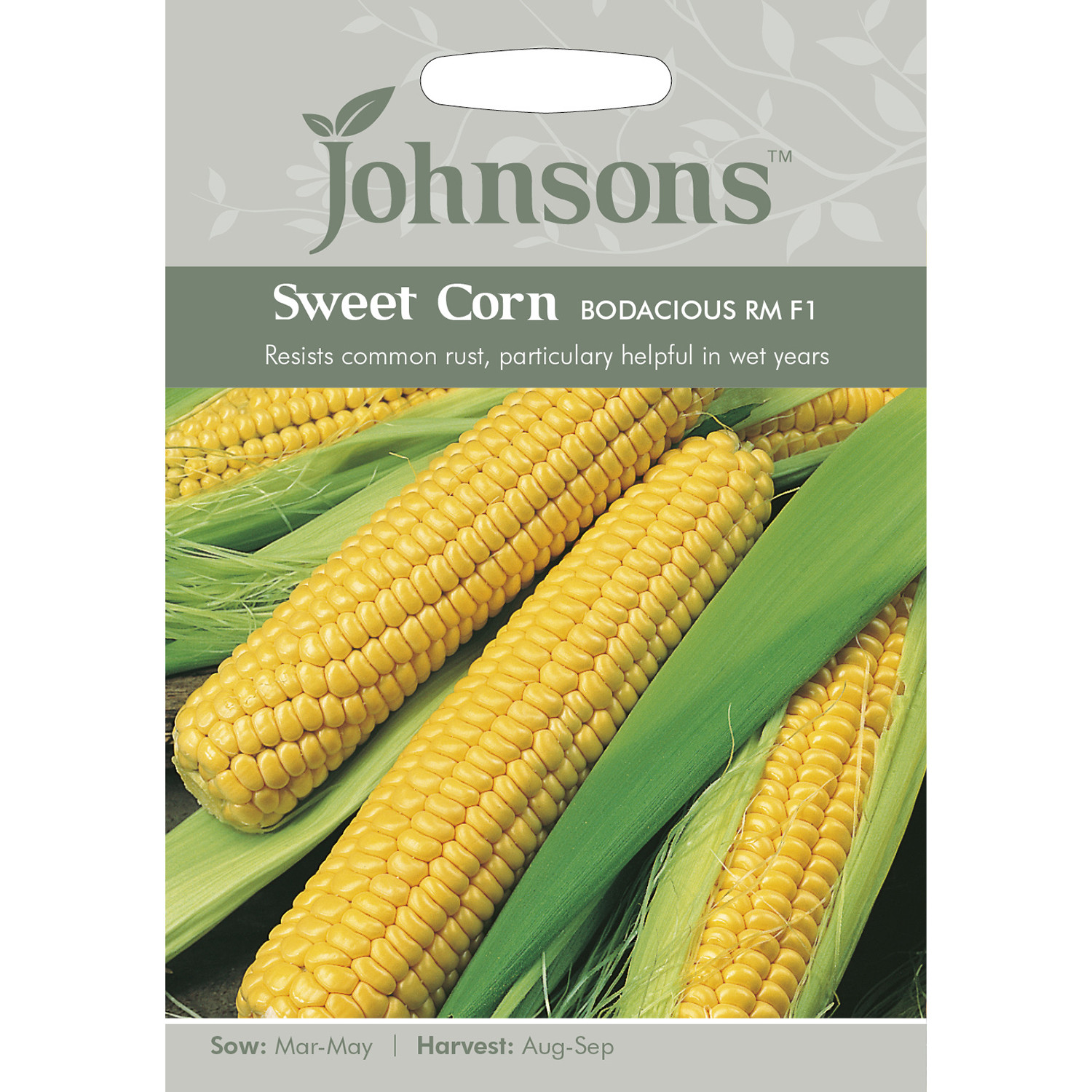 Johnsons Bodacious RM F1 Sweet Corn Seeds Image 2