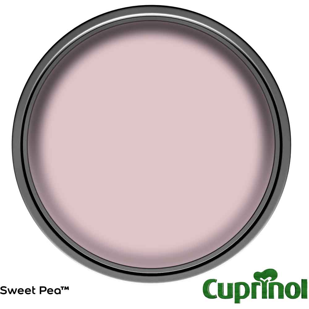 Cuprinol Garden Shades Sweet Pea Exterior Paint 1L Image 3