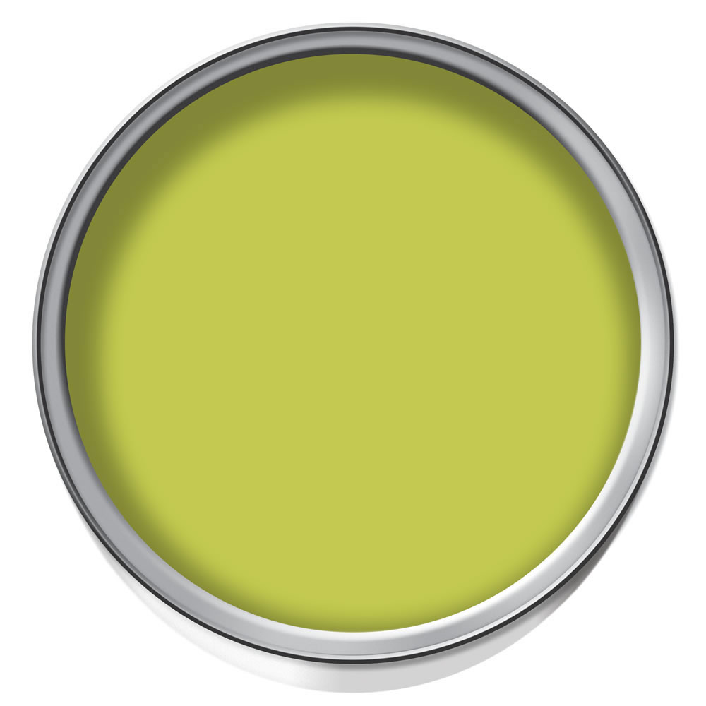 Dulux Kitchen+ Matt Emulsion Paint Luscious Lime 2.5L Image 2
