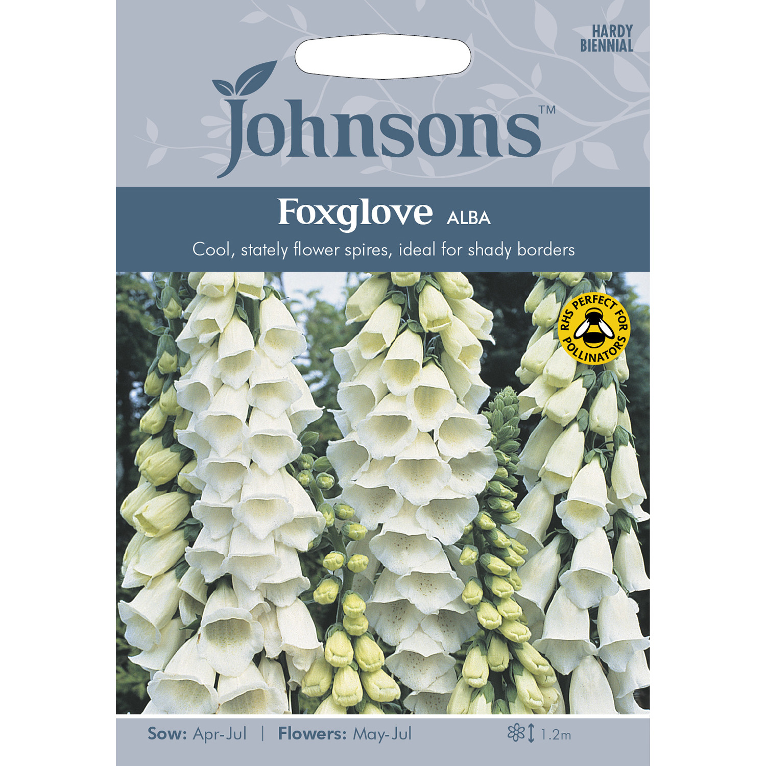 Johnsons Foxglove Alba Flower Seeds Image 2