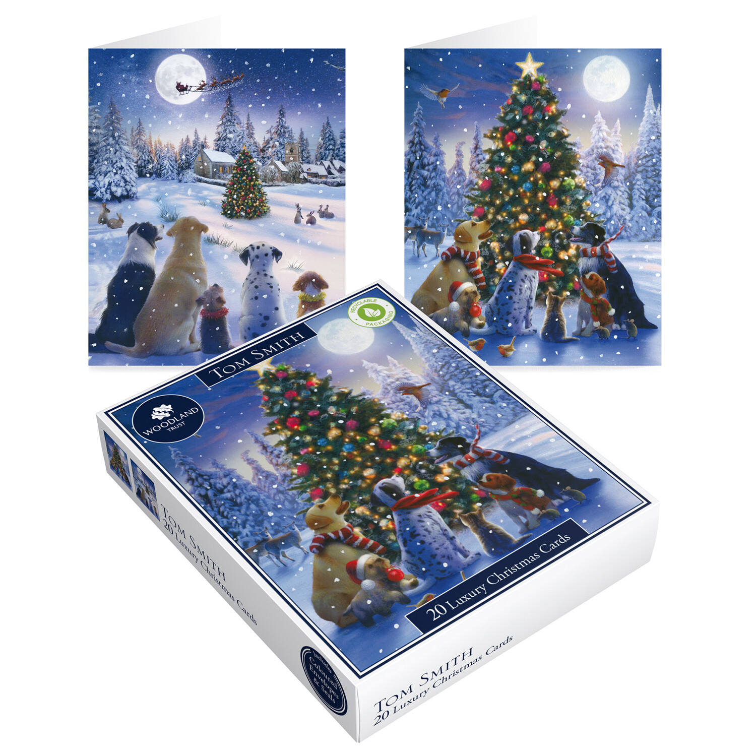 Luxury Boxed Christmas Pet Cards - Multicolour Image