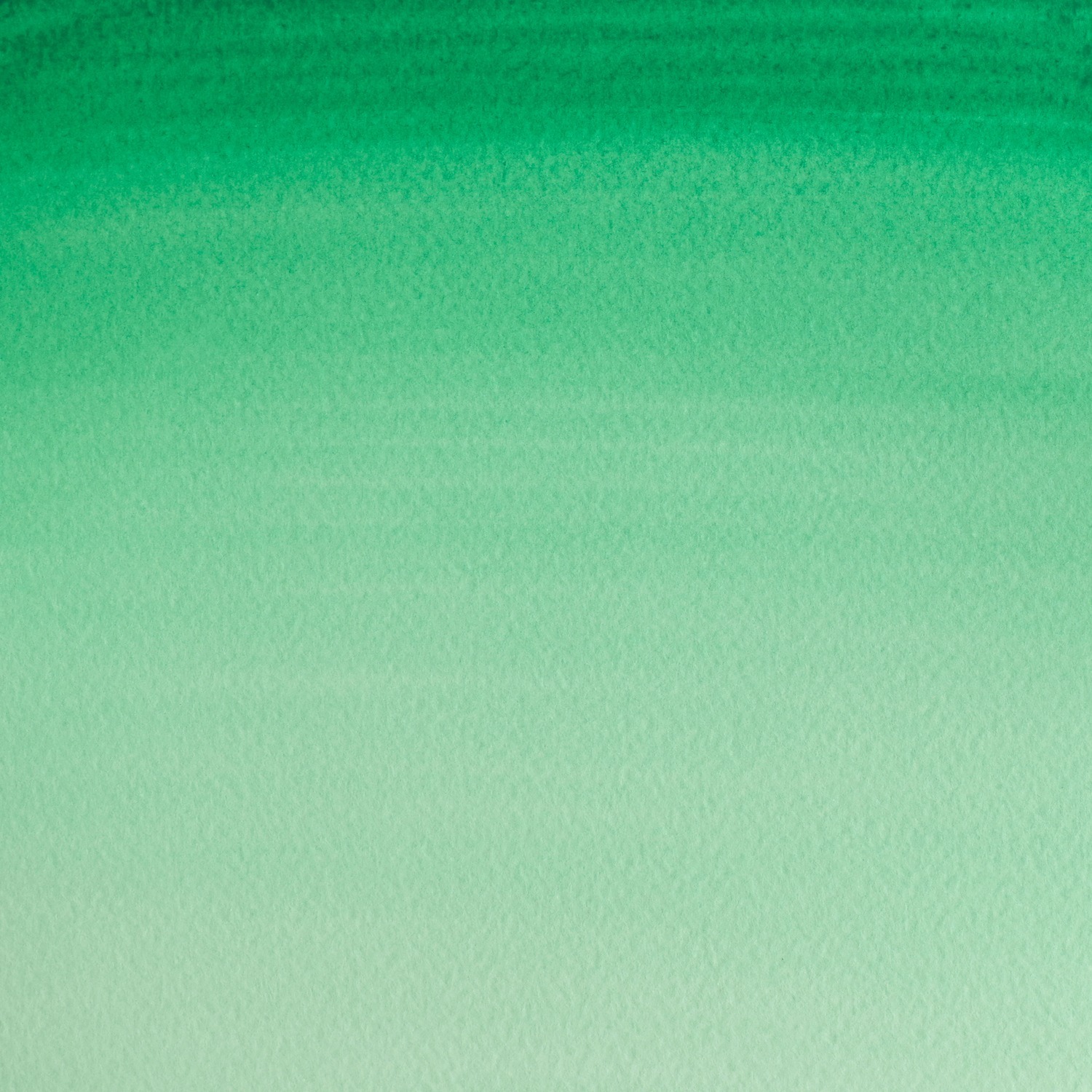 Winsor and Newton Cotman Watercolour Paint - Emerald Image 2