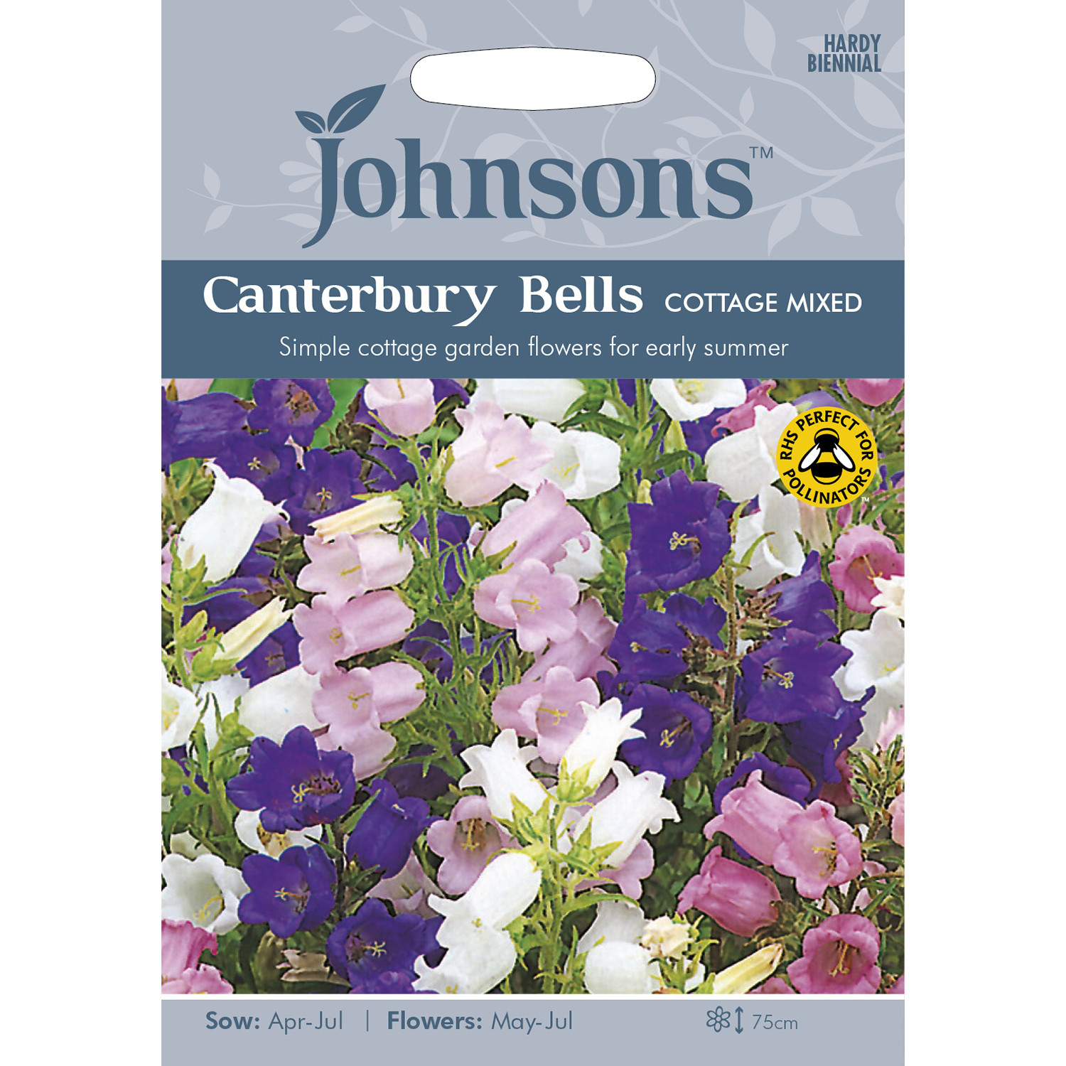 Johnsons Canterbury Bells Cottage Mixed Flower Seeds Image 2