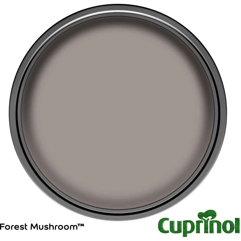 Cuprinol Forest Mushroom Garden Shades 2.5L Image 3