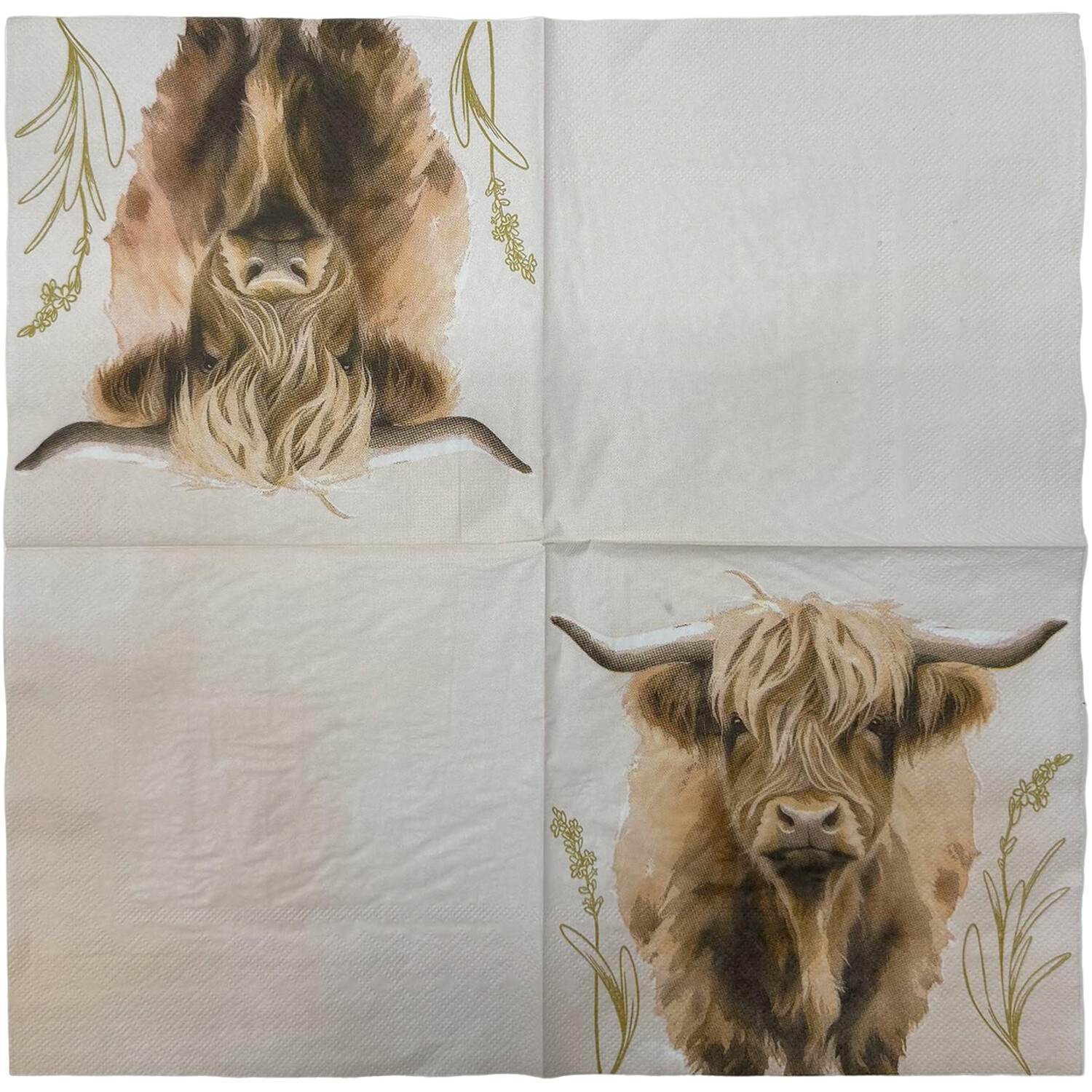 Pack of 16 Highland Cow Napkins Image 2