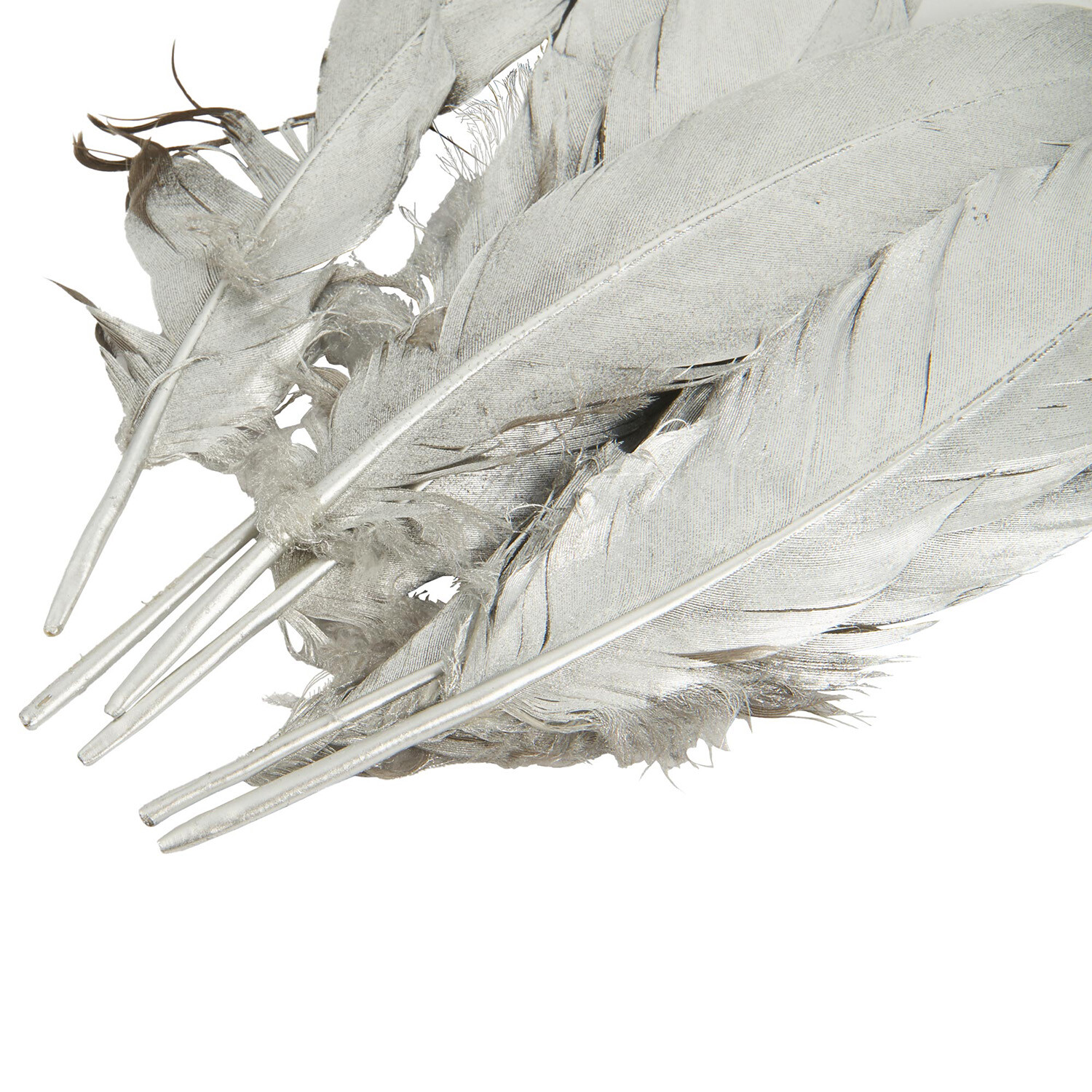 Pack of 6 True Moments Gold or Silver Feathers Image 7