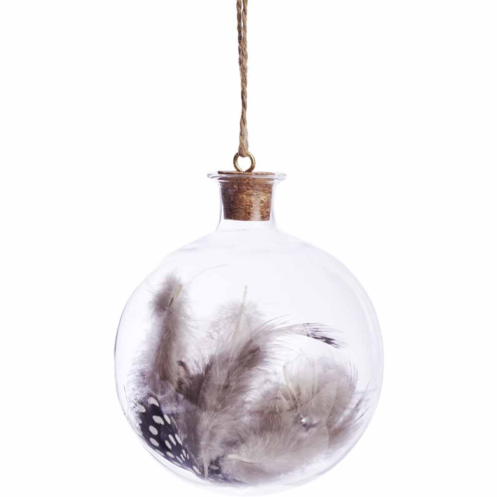 Wilko Midwinter Encapsulated Feather Tree Bauble Image 1