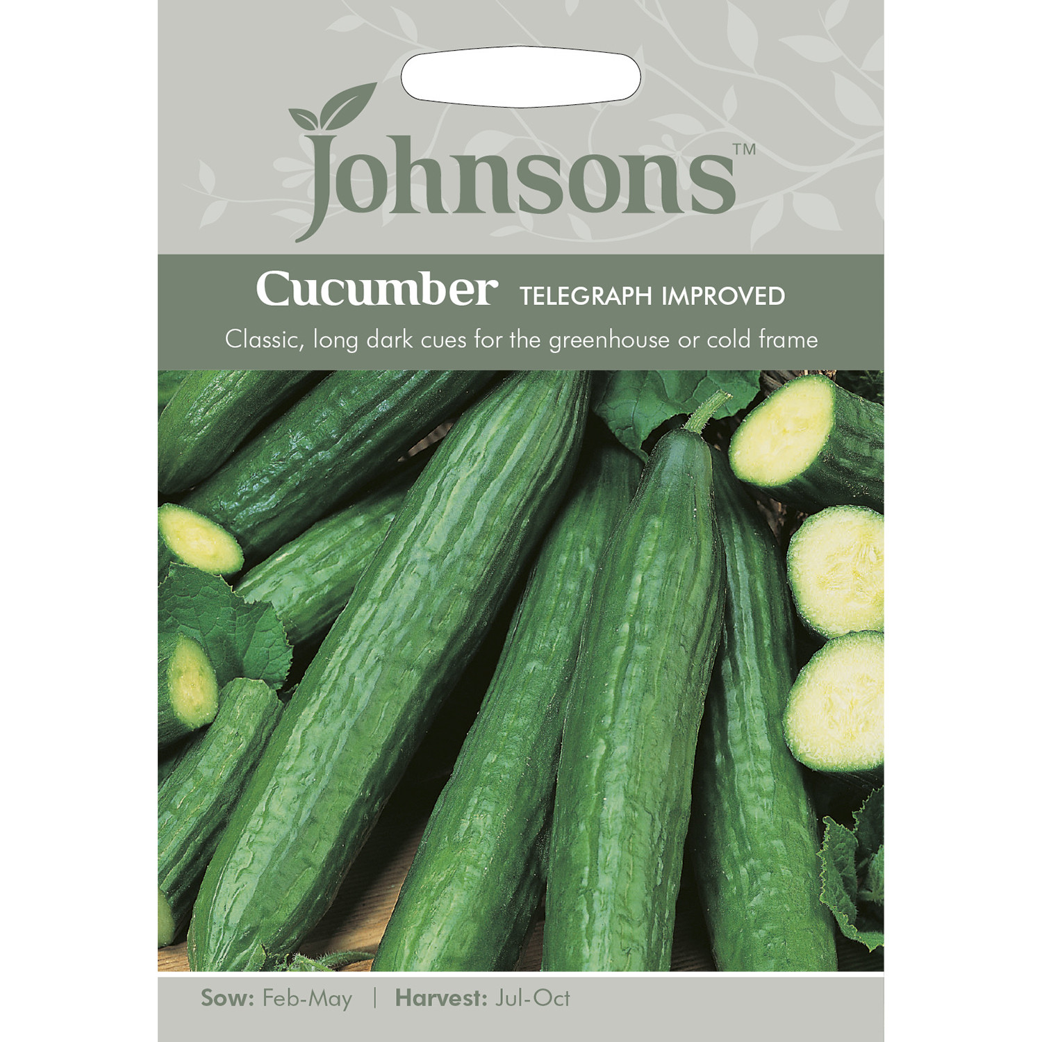 Johnsons Cucumber Seeds Image 2