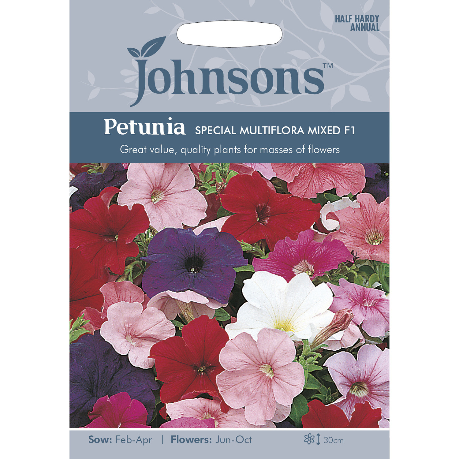 Johnsons Petunia Special Multiflora Mixed F1 Flower Seeds Image 2