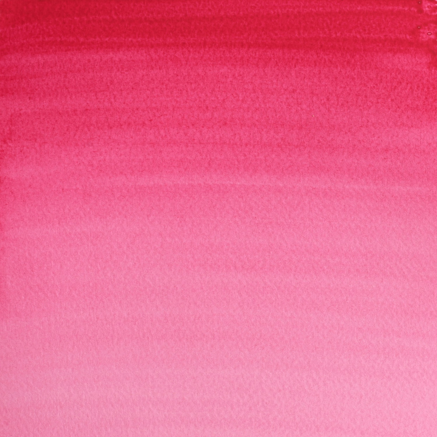 Winsor and Newton Cotman Watercolour Paint 21ml - Permanent Rose Image 2