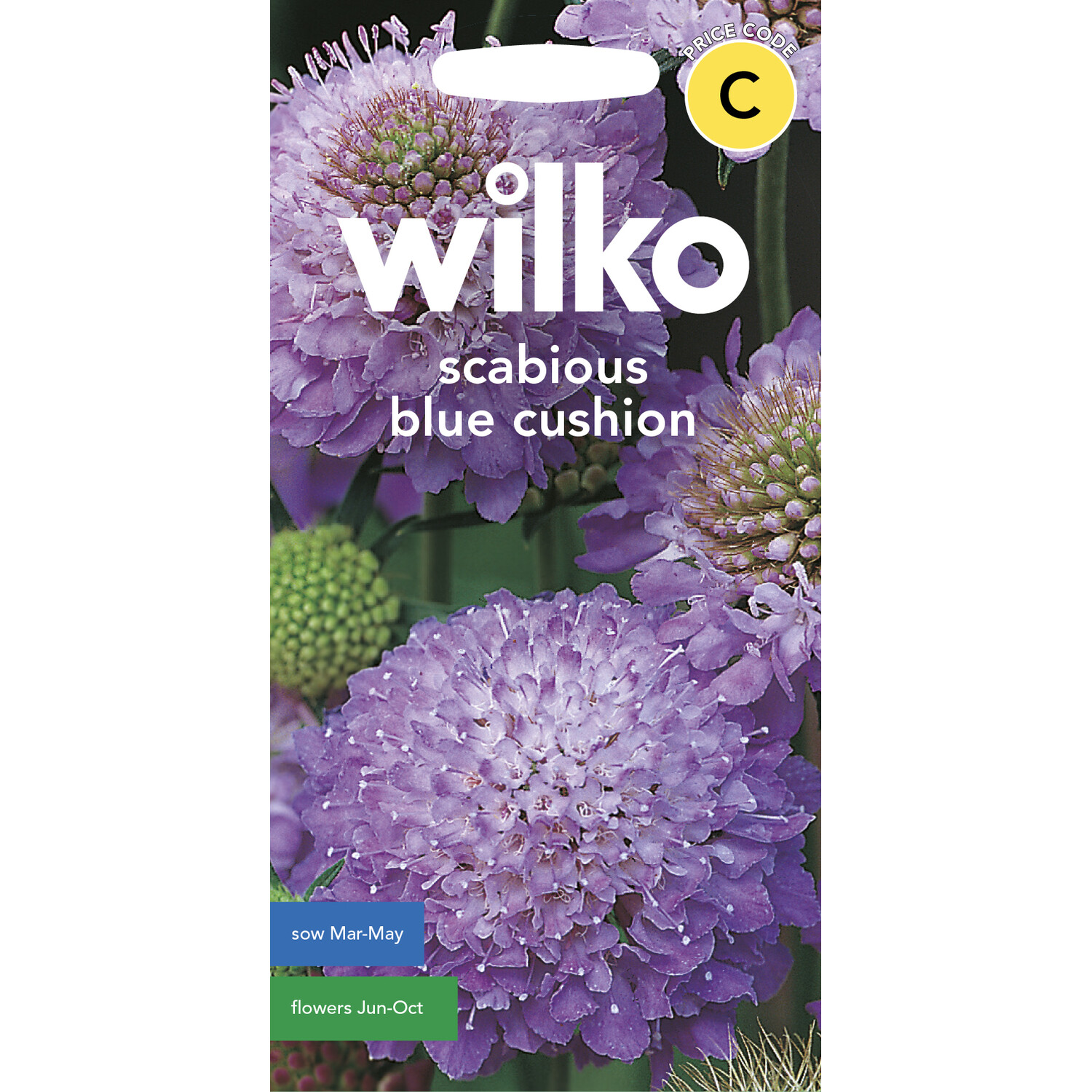 Wilko Scabious Blue Cushion Seeds Image 1