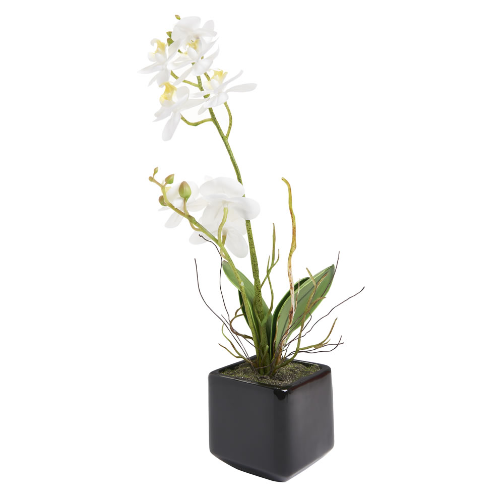 Wilko Artificial Orchid in Ceramic Pot Image