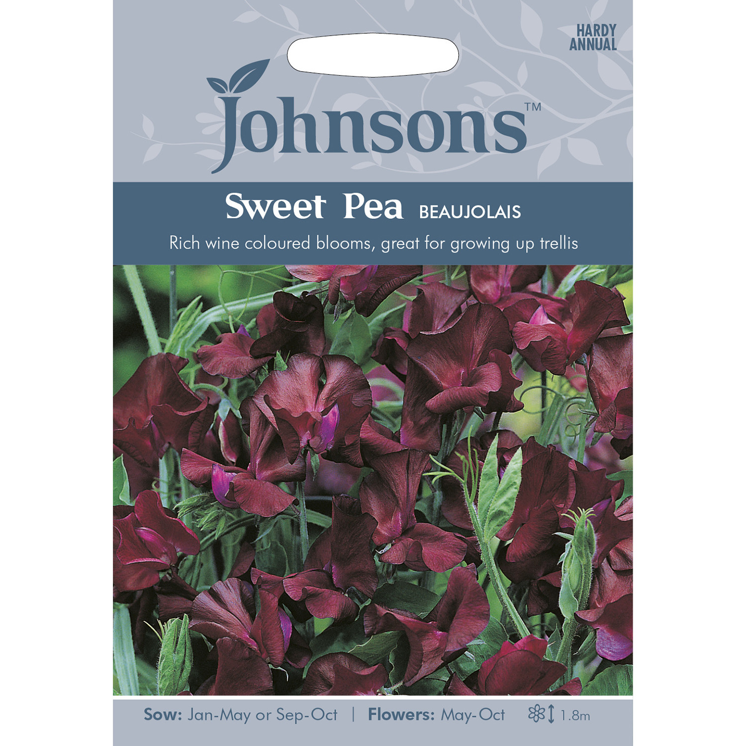 Johnsons Pack of Beaujolais Sweet Pea Flower Seeds Image 1