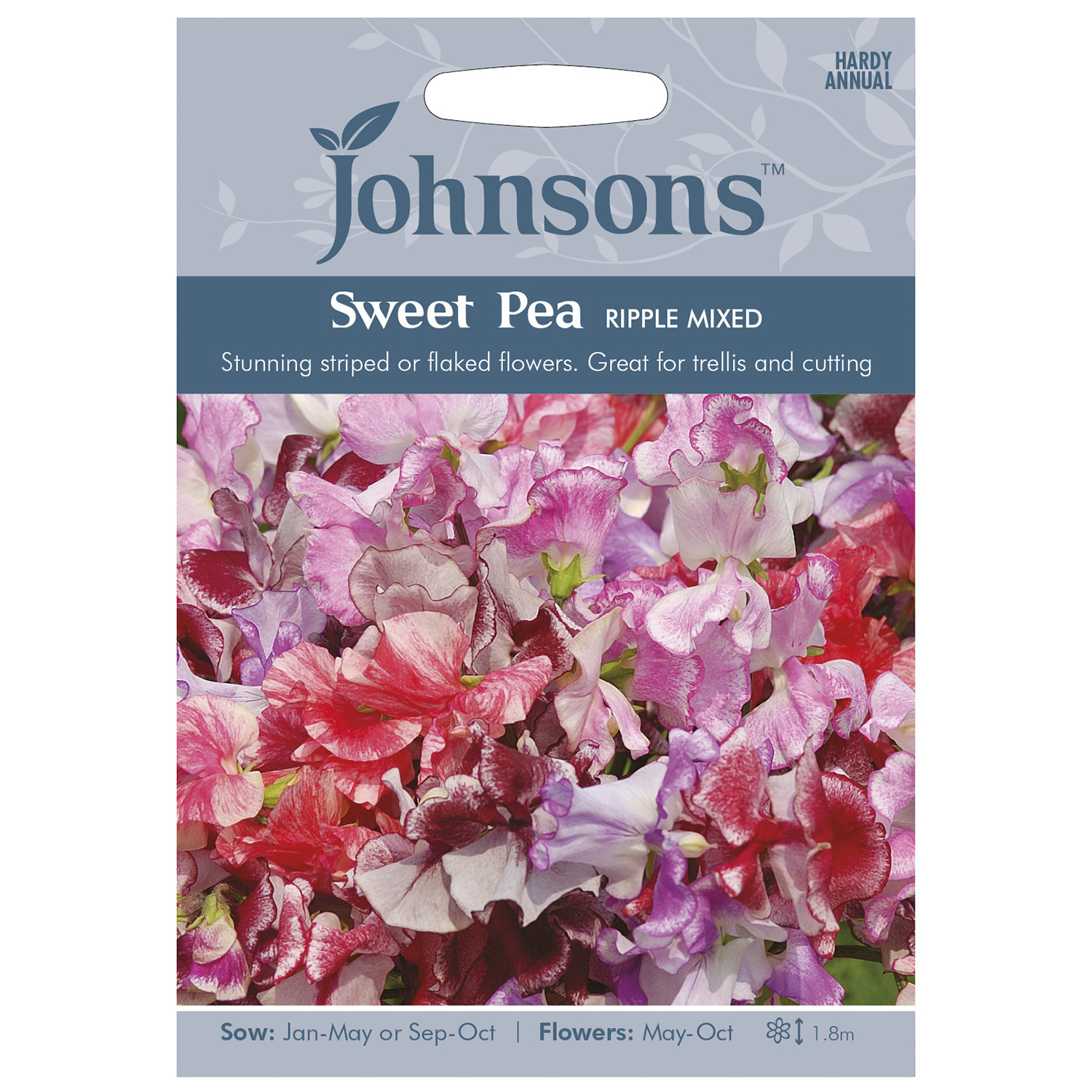 Pack of Ripple Mixed Sweet Pea Flower Seeds Image