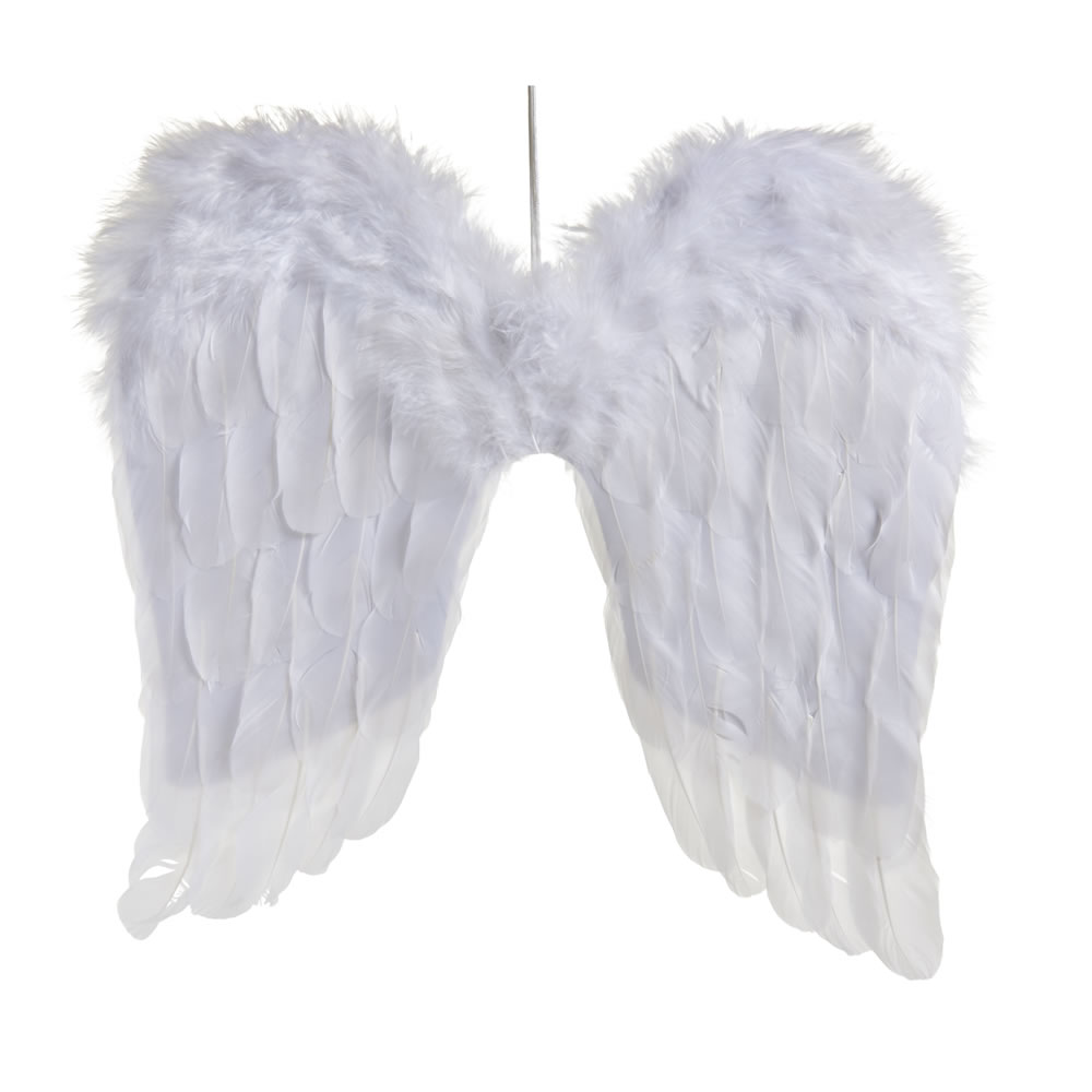 Wilko Magical Angel Wings Decoration Image 1