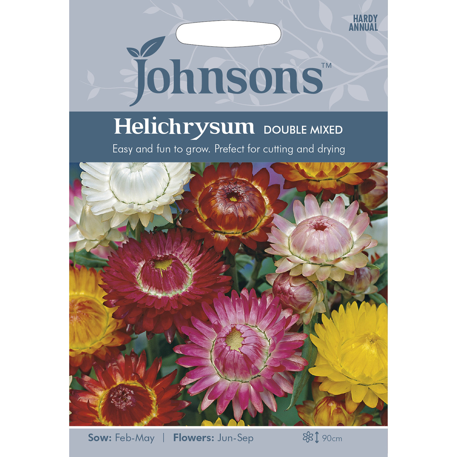 Johnsons Helichrysum Double Mixed Flower Seeds Image 2