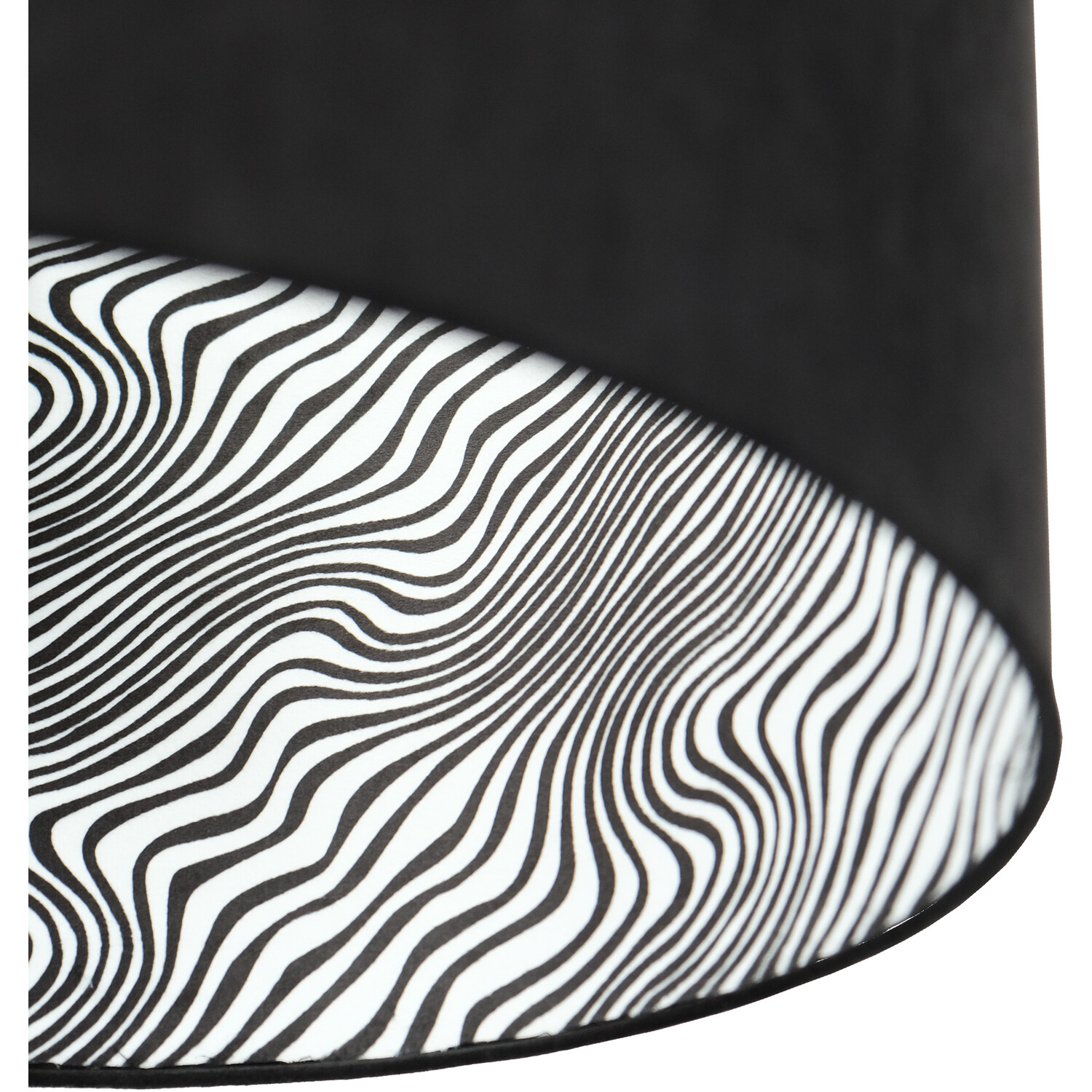Black Zebra Shade - Black and White Image 7