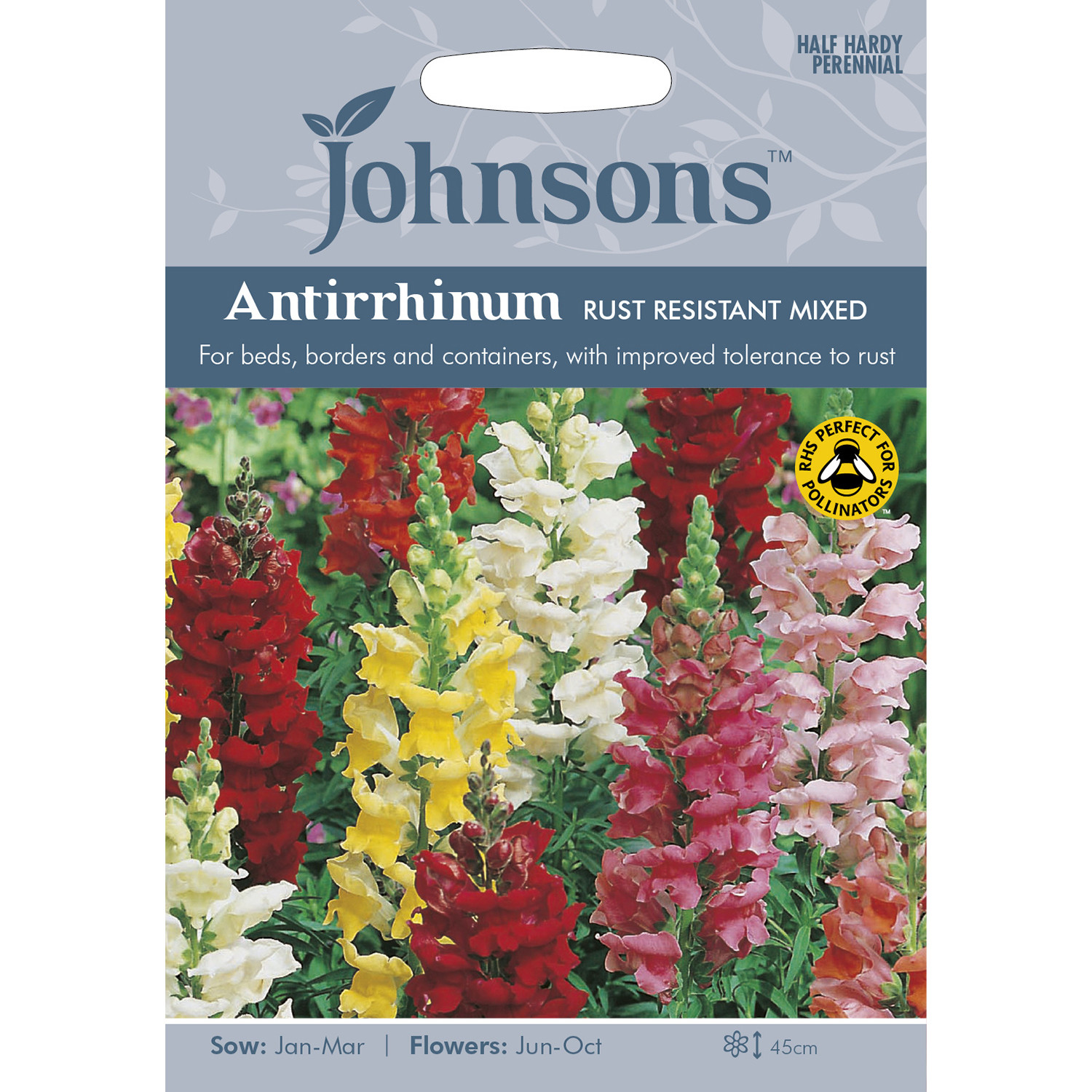 Johnsons Antirrhinum Rust Resistant Mixed Flower Seeds Image 2