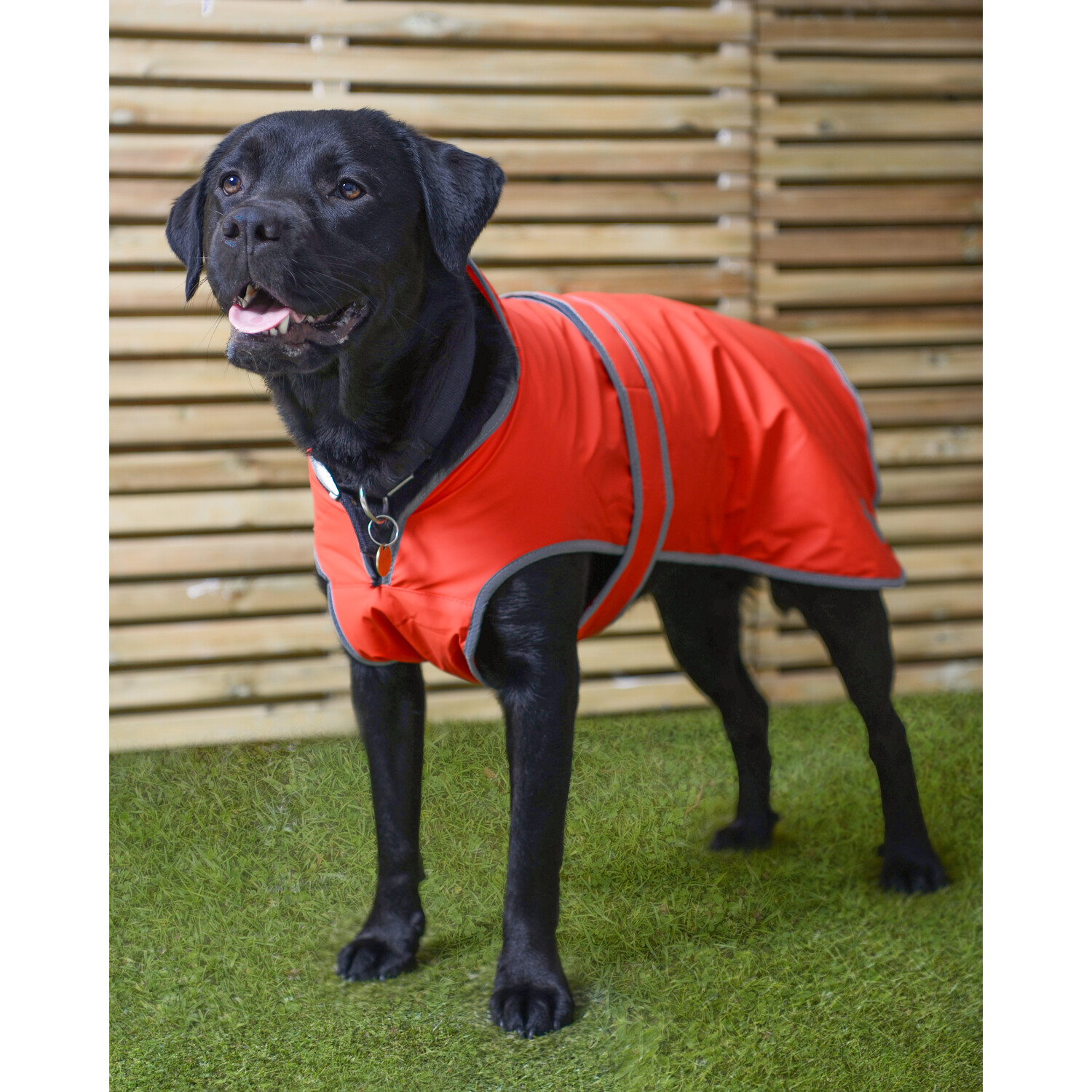 Explorer Fleece Lined Dog Coat - Red / 40cm Image 2