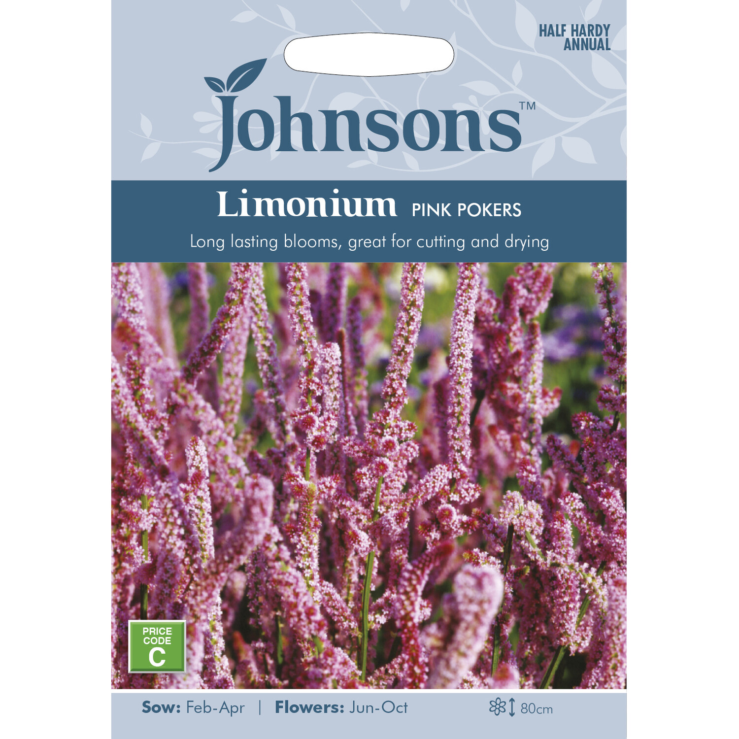 Johnsons Limonium Pink Pokers Flower Seeds Image 2