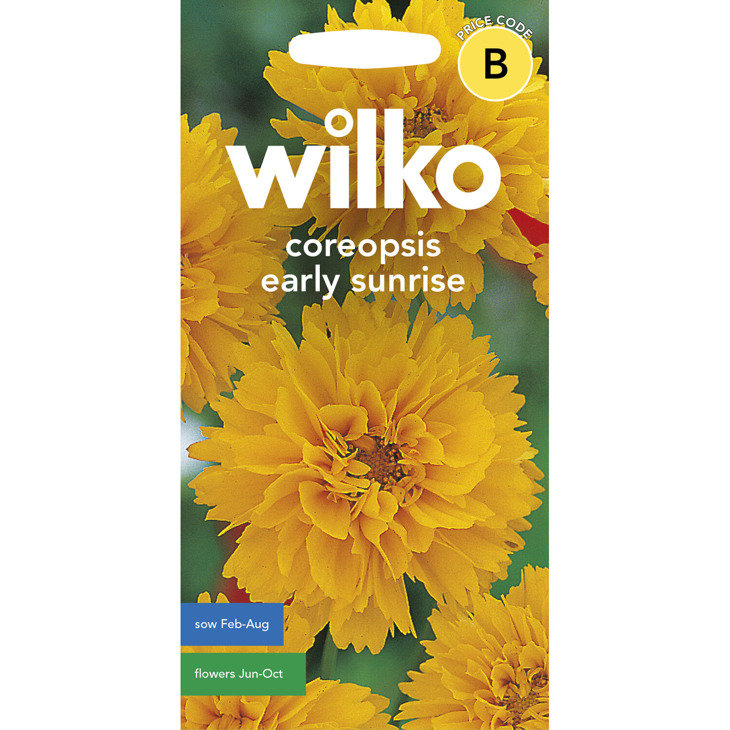 Wilko Early Sunrise Coreopsis Flower Seeds Image 1