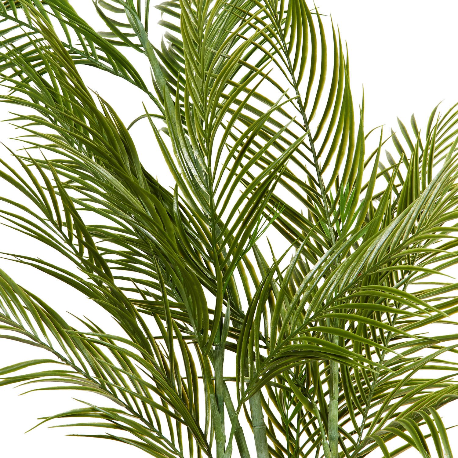 Palm in Cement Pot 100cm - Green Image 4