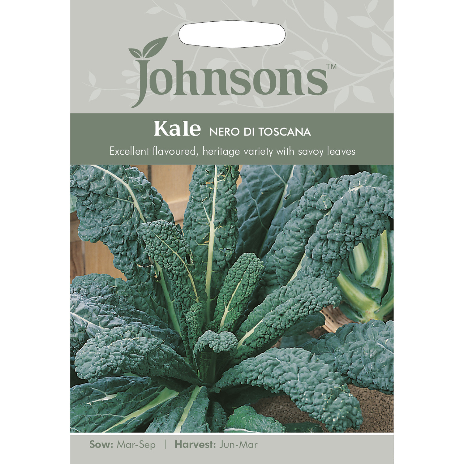 Johnsons Nero Di Toscana Kale Seeds Image 2