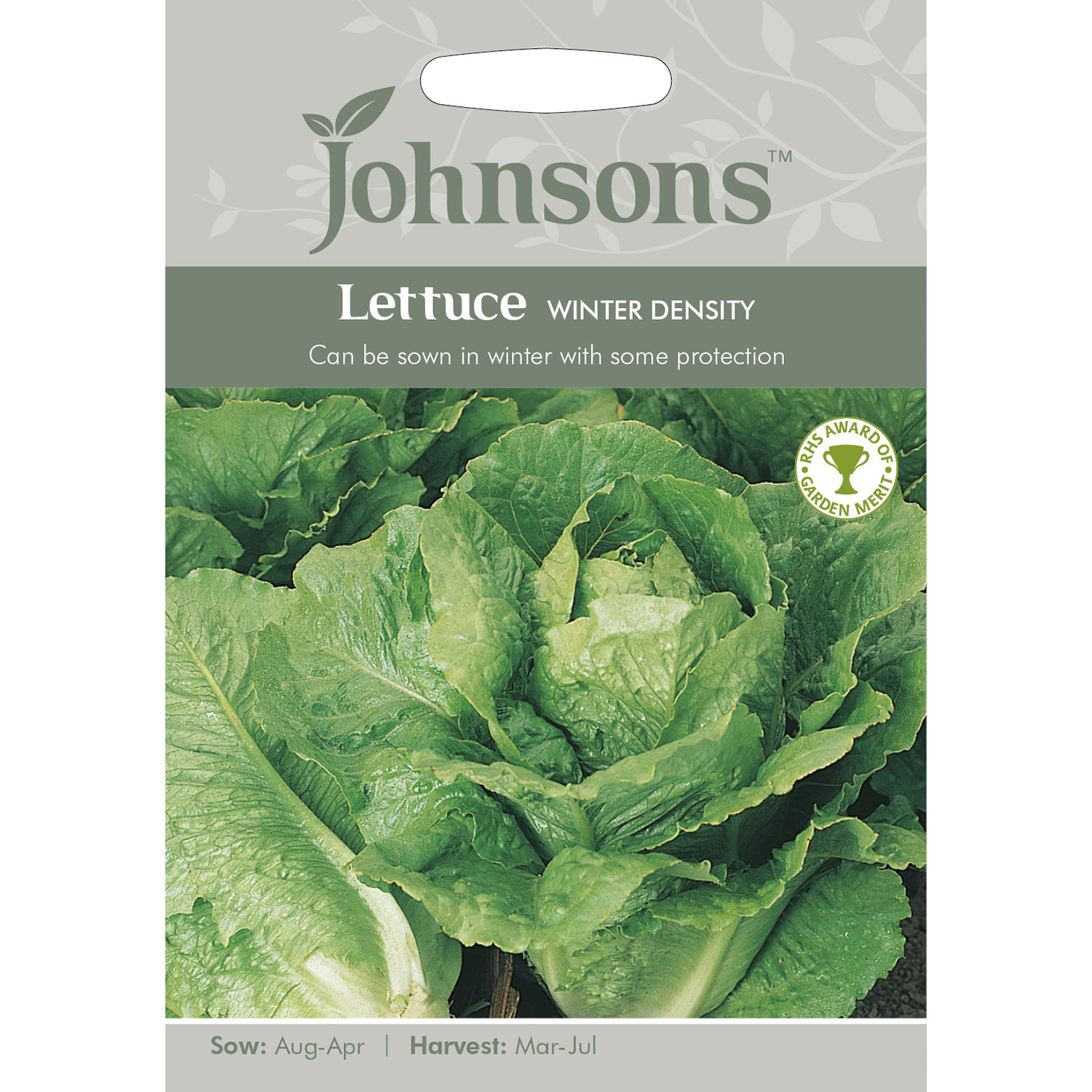 Johnsons Winter Density Lettuce Seeds Image 2