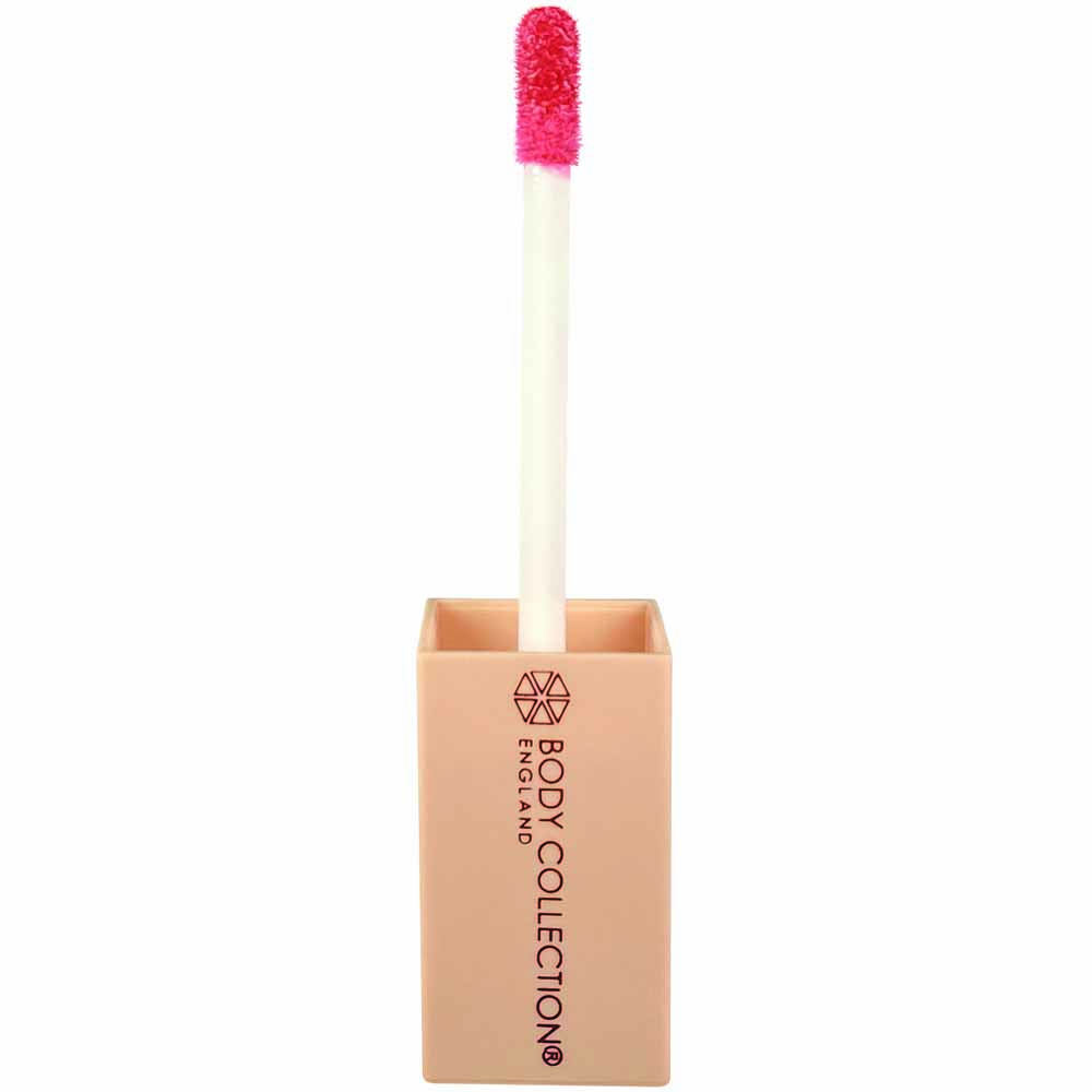 Body Collection Nude Collection Plumping Lipgloss 5ml Image 2