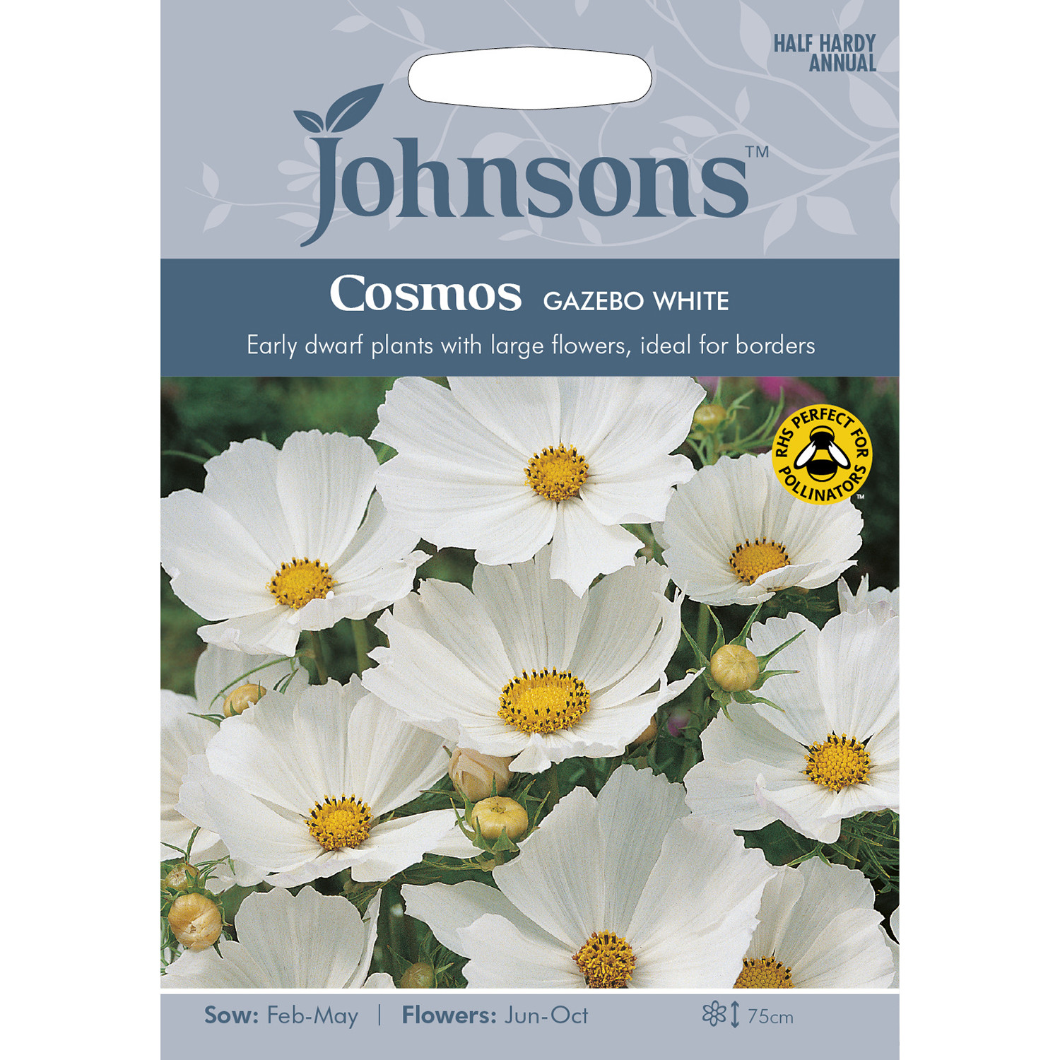 Johnsons Gazebo Cosmos White Seeds Image 2